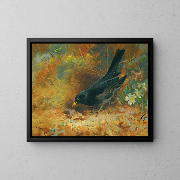 Merle nero - Archibald Thorburn — quadro incorniciato alla parete
