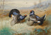 Tetra-lyre al lek - Archibald Thorburn — vista dell’opera