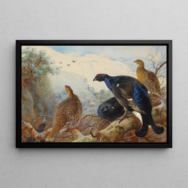 Grande gallo cedrone - Archibald Thorburn — quadro incorniciato alla parete