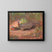 Pellicano di Borneo - Archibald Thorburn — quadro incorniciato alla parete