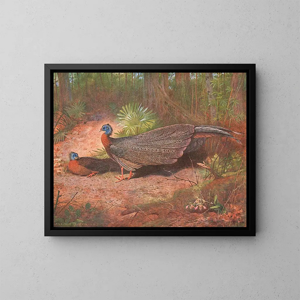 Pellicano di Borneo - Archibald Thorburn — quadro incorniciato alla parete