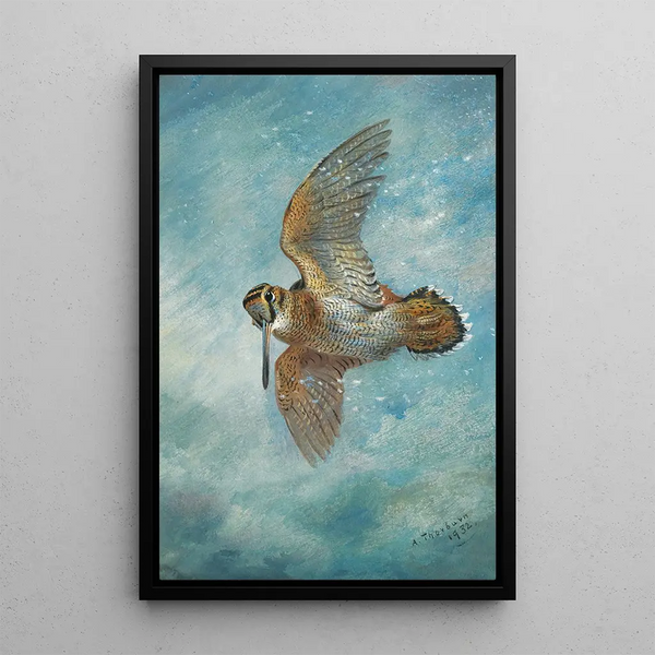 Riproduzione del dipinto Pris dans une tempesta di neve Bécasse - Archibald Thorburn