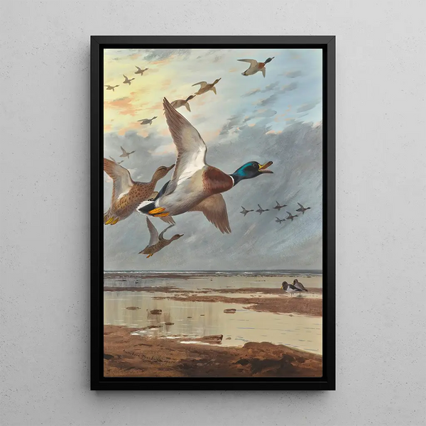 Riproduzione del dipinto Arrivato dal mare - Archibald Thorburn