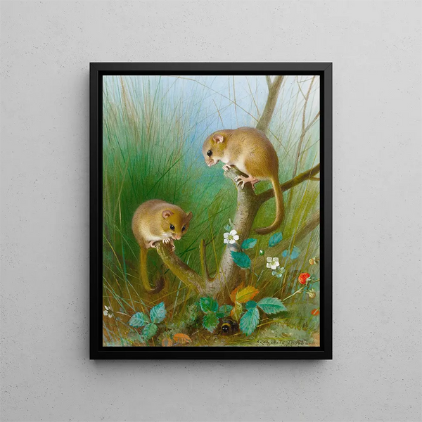 Loirs - Archibald Thorburn — quadro incorniciato alla parete