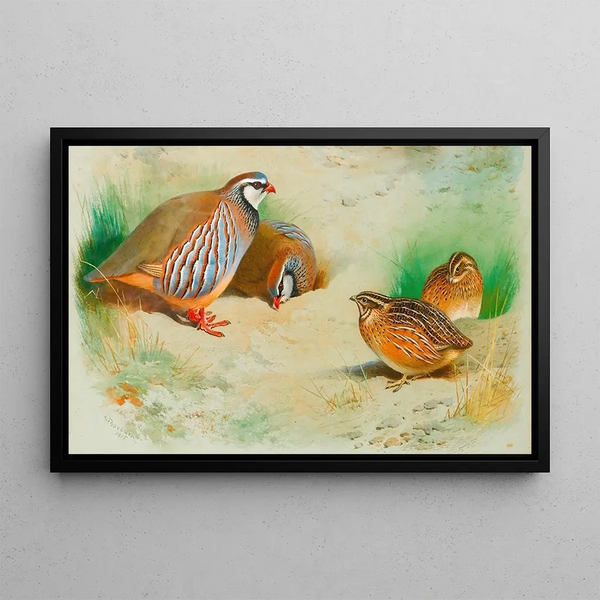 Perdrix rouge e pulcini - Archibald Thorburn — quadro incorniciato alla parete