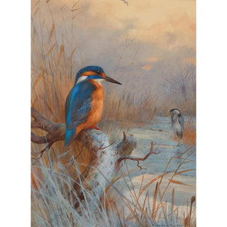 Archibald Thorburn - Frozen out Fishers Kingfisher and Heron in a winter landscape.webp