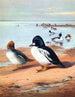 Œil d'or - Archibald Thorburn — vista dell’opera