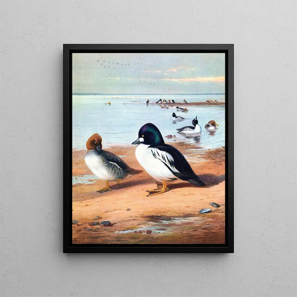 Œil d'or - Archibald Thorburn — quadro incorniciato alla parete