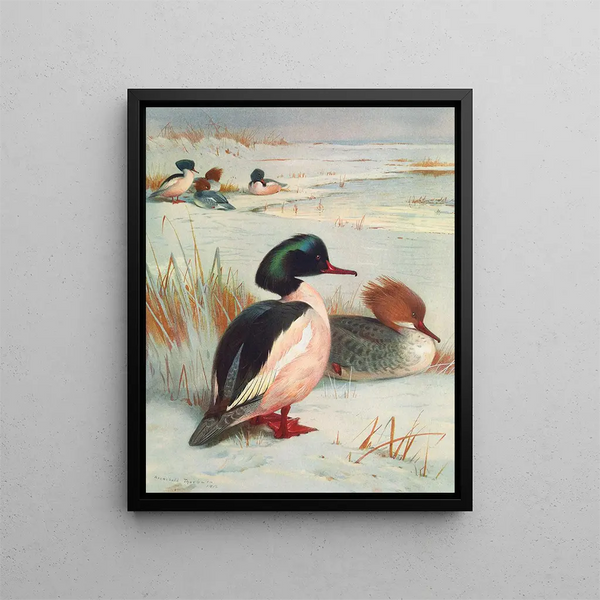 Harle bièvre - Archibald Thorburn — quadro incorniciato alla parete