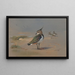 Vanneaux verdi - Archibald Thorburn — quadro incorniciato alla parete