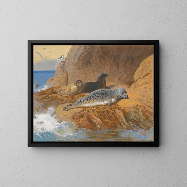 Foche grigie e foche comuni a riposo - Archibald Thorburn — quadro incorniciato alla parete