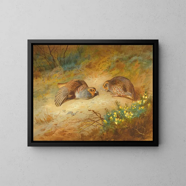 Perdrizzo grigio - Archibald Thorburn — quadro incorniciato alla parete