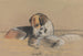 Cani Gabbiano - Archibald Thorburn — vista dell’opera