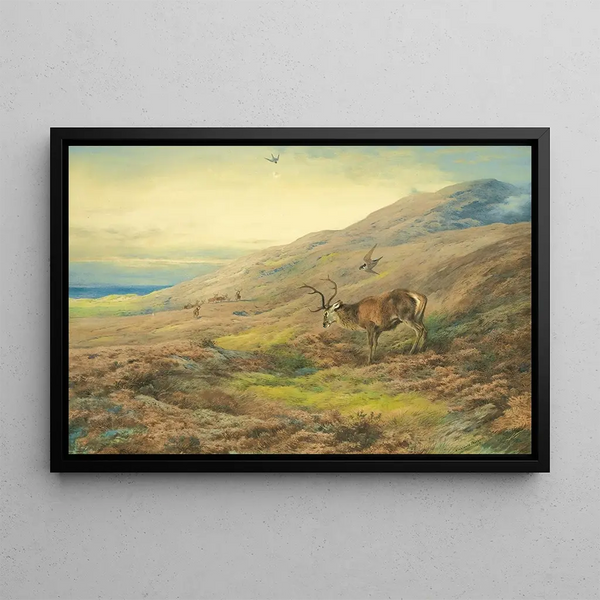Nei Highlands, cervo rosso molestato da una coppia di falchi pellegrini - Archibald Thorburn — quadro incorniciato alla parete