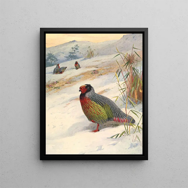 Perdrix di sangue di Kusers - Archibald Thorburn — quadro incorniciato alla parete