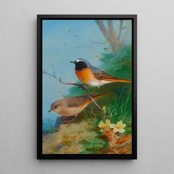 Riproduzione del dipinto Coppia di merli - Archibald Thorburn