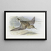 Bécasseau à poitrine cendrée - Archibald Thorburn — quadro incorniciato alla parete