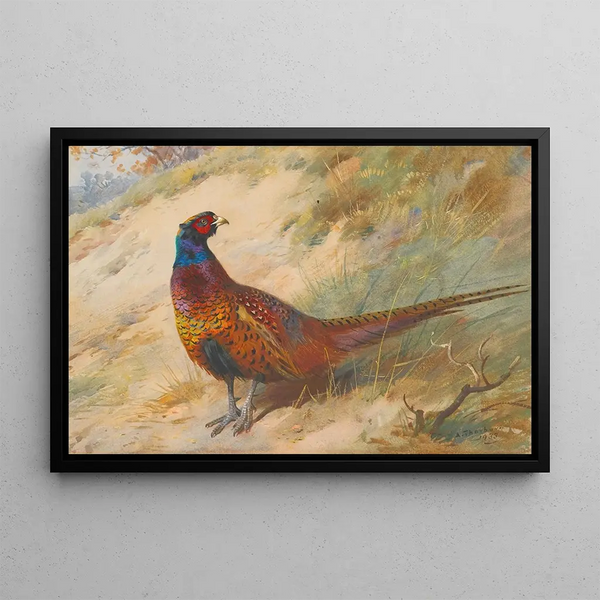 Fagiano - Archibald Thorburn — quadro incorniciato alla parete
