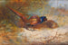 Faisans - Archibald Thorburn — vista dell’opera