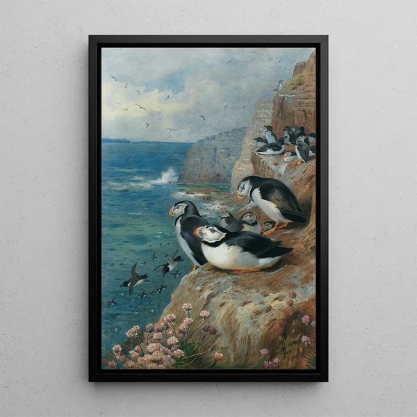 Riproduzione del dipinto Macareux e pinguini torda - Archibald Thorburn