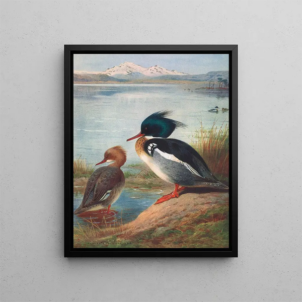 Harle huppé - Archibald Thorburn — quadro incorniciato alla parete