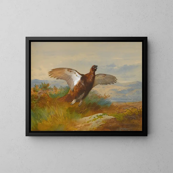 Starna rossa in volo - Archibald Thorburn — quadro incorniciato alla parete
