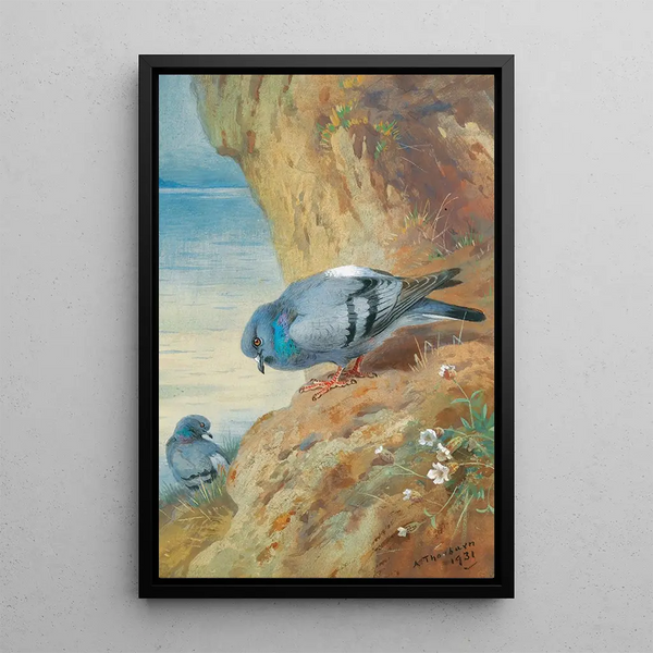 Pigeons bisets - Archibald Thorburn — quadro incorniciato alla parete