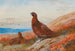 Le Défi - Archibald Thorburn — vista dell’opera