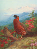 Le Satyre tragopan - Archibald Thorburn — vista dell’opera