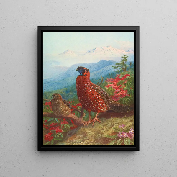 Le Satyre tragopan - Archibald Thorburn — quadro incorniciato alla parete