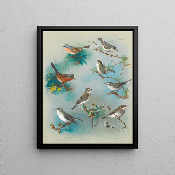 Fauvettes e trogloditi - Archibald Thorburn — quadro incorniciato alla parete