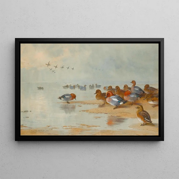 Sarcelle e anatra che fischia sul bordo dell'acqua - Archibald Thorburn — quadro incorniciato alla parete