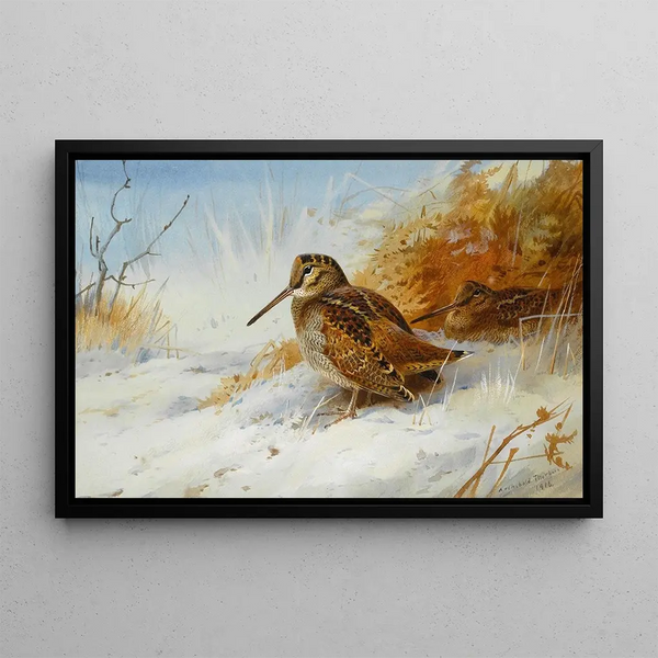 Bécasse d'inverno - Archibald Thorburn — quadro incorniciato alla parete