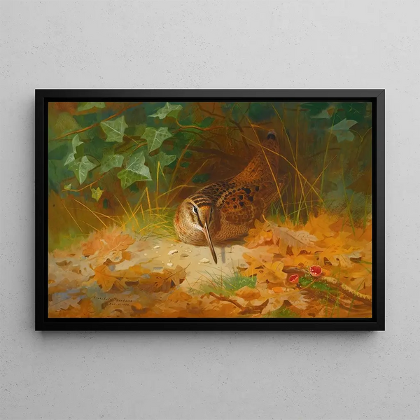Bécasse - Archibald Thorburn — quadro incorniciato alla parete