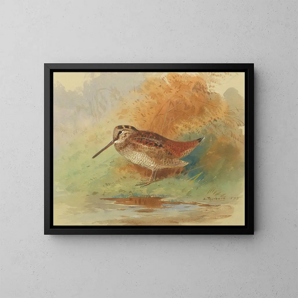 Bécasse au bord de l'acqua - Archibald Thorburn — quadro incorniciato alla parete
