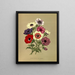 Anémone coronaria Anémones semplici - Arentina Hendrica Arendsen — quadro incorniciato alla parete