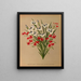Anomatheca Cruenta, Vieusseuxia Pavonia, Iris Pavonia, Morea Pavonia - Arentina Hendrica Arendsen — quadro incorniciato alla parete
