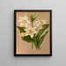 Eucharis Amazonica - Arentina Hendrica Arendsen — quadro incorniciato alla parete