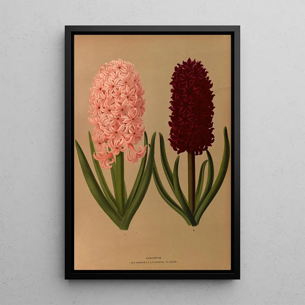 Glicinias 8 - Arentina Hendrica Arendsen — quadro incorniciato alla parete