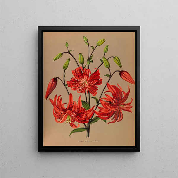 Il giglio tigrato è in piena fioritura - Arentina Hendrica Arendsen — quadro incorniciato alla parete