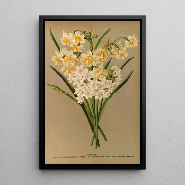 Riproduzione del dipinto Narciso 2 - Arentina Hendrica Arendsen