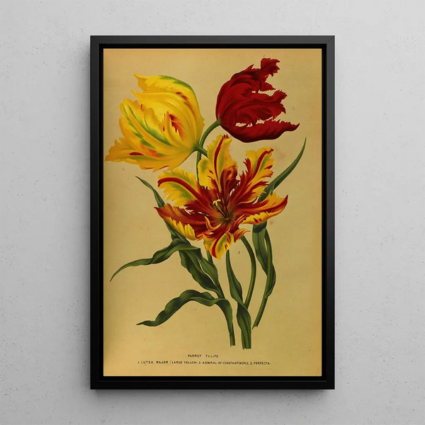 Riproduzione del dipinto Tulipes perroquet - Arentina Hendrica Arendsen
