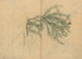 Carnet de Croquis Pl003 - Ariyoshi Kondo — vista dell’opera