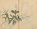 Carnet de croquis Pl005 - Ariyoshi Kondo — vista dell’opera