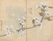 Carnet de croquis Pl006 - Ariyoshi Kondo — vista dell’opera