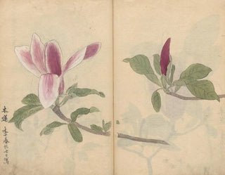 Carnet de croquis Pl007 - Ariyoshi Kondo — vista dell’opera
