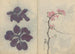 Carnet de croquis Pl009 - Ariyoshi Kondo — vista dell’opera