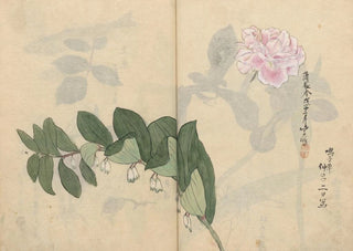 Ariyoshi Kondo - Sketchbook Pl011.webp