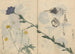 Carnet de croquis Pl013 - Ariyoshi Kondo — vista dell’opera