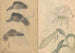 Carnet de croquis Pl014 - Ariyoshi Kondo — vista dell’opera